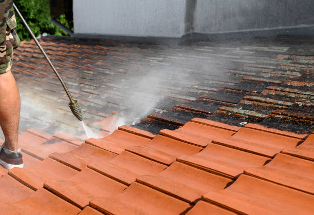 Best Affordable Pressure Washing  in Troy, MO